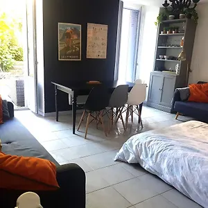 Private Garden In Ski In Queen Of The Pyrennees With Wifi Ski Hike Cycle Spa Mountain Appartement